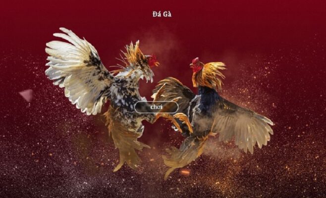 Mẹo Chơi Đá Gà Trực Tuyến Hiệu Quả, 3 Bí Kíp Cho Tân Thủ